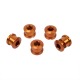 Pack 5 bolts INSIGHT 6.5x4mm alu