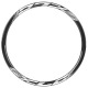 EXCESS XLC carbon Front Rim 451x22 28H