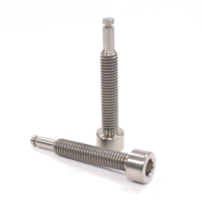 ELEVN titanium bolts