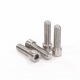 ELEVN titanium Replacement bolts (double lock)